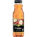 Cappy jablko 100% 12x330ml