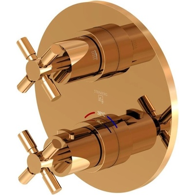 STEINBERG 25041333RG