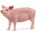 Schleich Фигурка Schleich Farm World - Прасе майка (13933-35826)