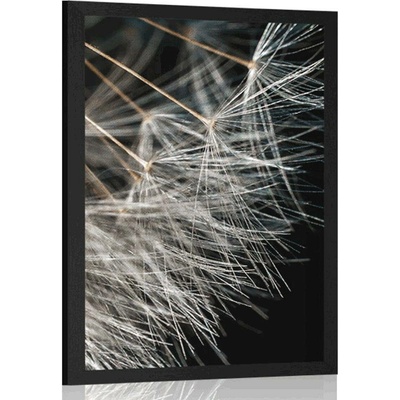Plakát krása pampelišky - 30x45 black