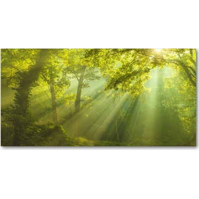 Fotoobraz na skle les slnko 100x50 cm