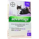 Veterinárne prípravky Advantage spot-on pre malé mačky a králiky 80 mg 4 x 0,8 ml