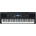 Yamaha PSR-EW310
