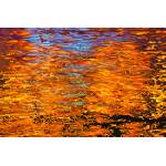 DIMEX ART Флизелинов фототапет отражение на светлината във вода 375 x 250 см