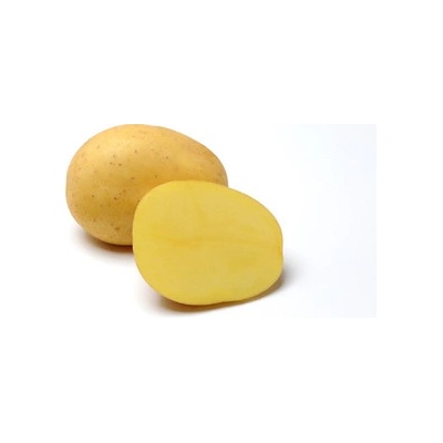Sadba brambor BELANA (balení 25kg)