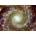Enjoy - Puzzle Phantom Galaxy Across the Spectrum - 1 000 piese