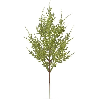 ZÁPICH ZELEŇ CYPERUS x13 36CM