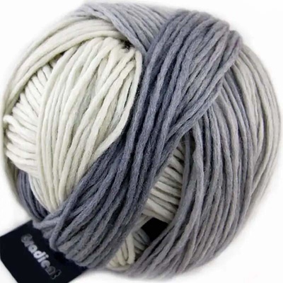 Schoppel Wolle Gradient 1508 Schatten