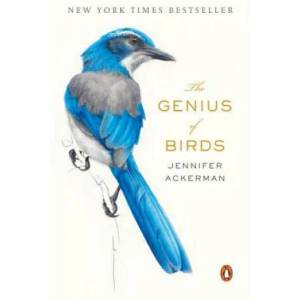 Genius of Birds | Jennifer Ackerman (ISBN: 9780399563126)