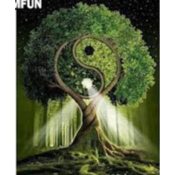 Image 1 of Тай Чи Дървото 40/50 см