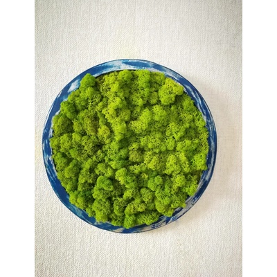 Mechový kruh průměr 35cm