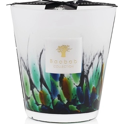 Baobab Collection RAINFOREST – AMAZONIA 1000 g