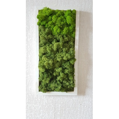Dvojfarebný machový obraz 15cm x 30cm