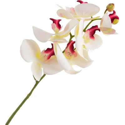 Umelá orchidea X4920-02