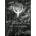 id Software Quake II Mission Pack The Reckoning DLC (PC)