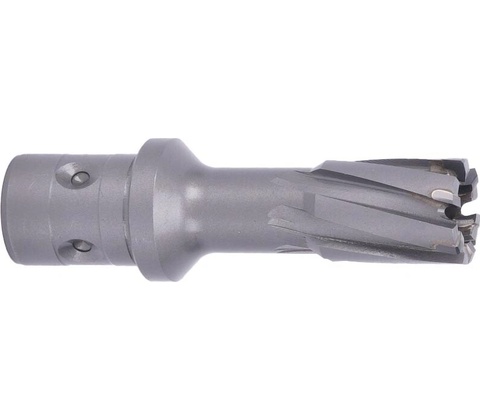 ABSE N-CA-F18-0180050