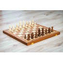 Šachy, dáma a Backgammon