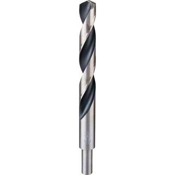 Bosch 2608577313