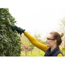 Bosch Isio 0 600 833 108