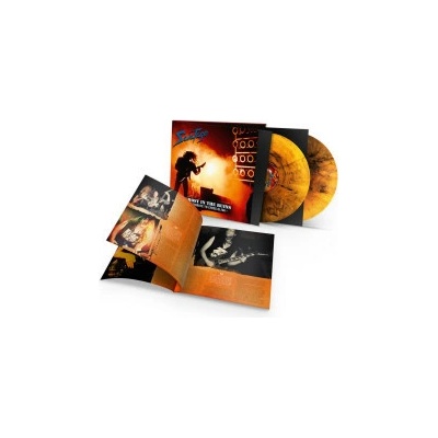 SAVATAGE - GHOST IN THE RUINS LP