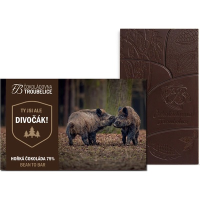 Čokoládovna Troubelice hořká 75% divočák 45 g