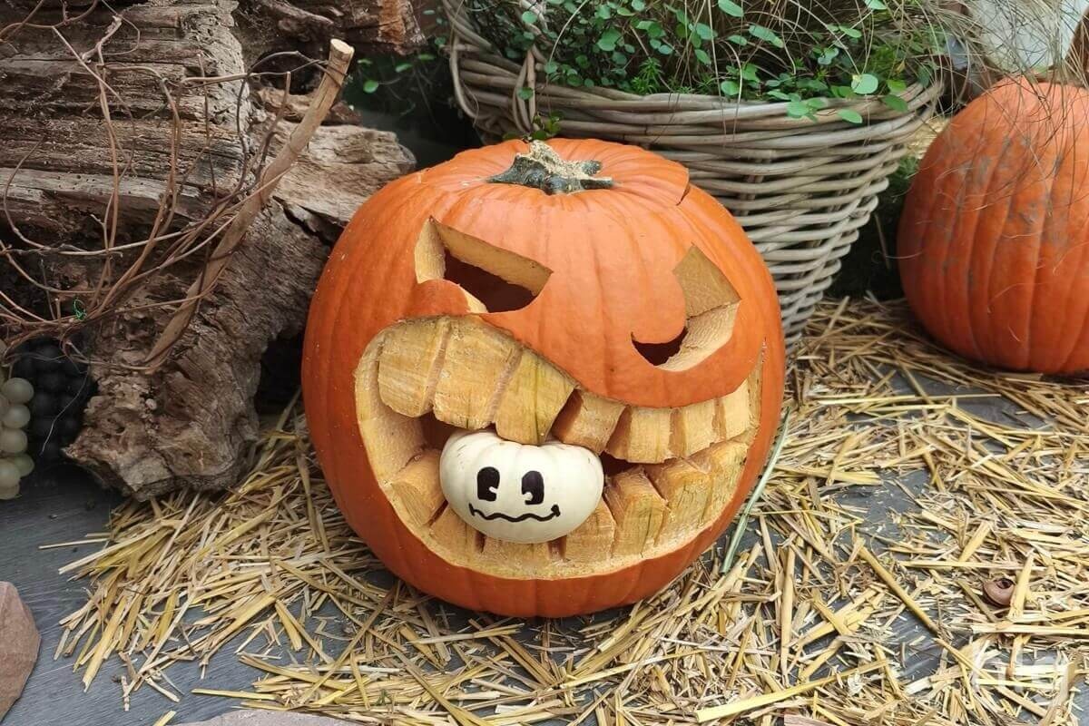 Vicces faragott tök Halloweenre Vicces faragott tök Halloweenre
