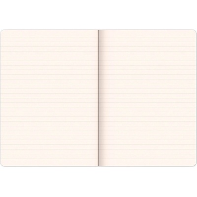 Notes Buldoci linkovaný