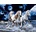 Norimpex - Puzzle Diamant painting: Horse Trio 30x40cm - 1 - 39 piese