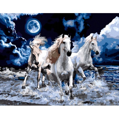 Norimpex - Puzzle Diamant painting: Horse Trio 30x40cm - 1 - 39 piese