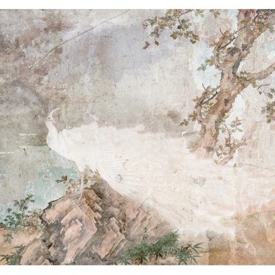 Komar Vliesová fototapeta Pasado rozměry 300 x 280 cm