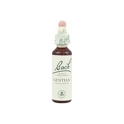 A. Nelson GENTIAN Horček horký 20 ml