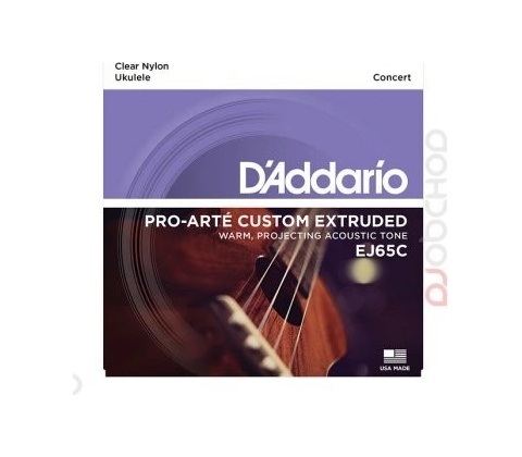 D'addario EJ65C