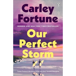 Our Perfect Storm (ISBN: 9780241813782)
