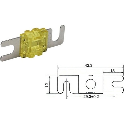 Autopoistka ANL Mini 100A