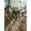 Egger EL2032 - Hunton Oak light (EL2032)