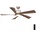 Globo 03606