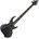ESP LTD TA-204 FRX