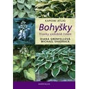 Bohyšky