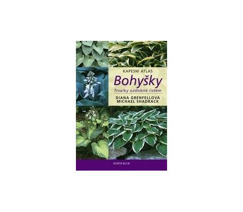 Bohyšky