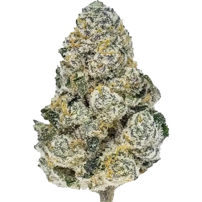 Fastbuds Lemonpaya semienka neobsahujú THC 10 ks