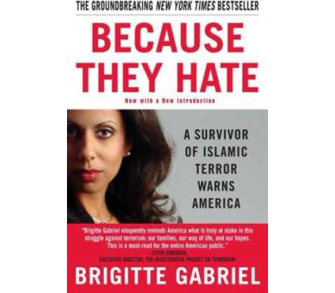 Because They Hate - Gabriel Brigitte