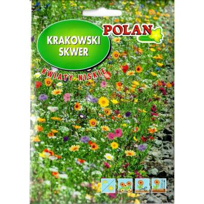 Zmes Krakowski Skwer 20g POLAN Nízke kvety
