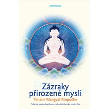 Zázraky přirozené mysli.