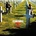 SCORPIONS: TAKEN BY FORCE CD