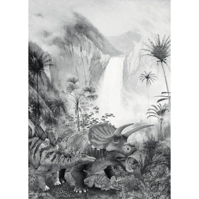 IAX4-0020 Fototapeta vliesová Jurassic Waterfall rozměry 200x280 cm