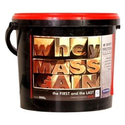 Megabol Whey Mass Gain 3000 g – Zboží Mobilmania