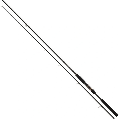 Daiwa AIRITY JIGGERSPIN 2,4 m 7-28 g 2 díly