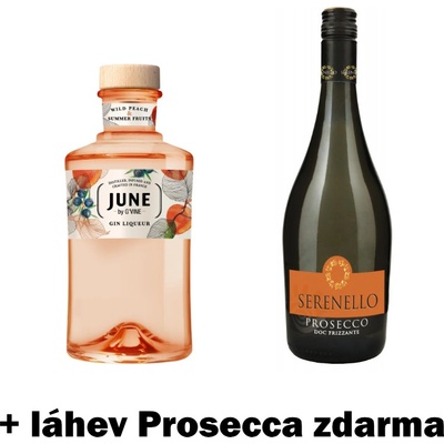 G’Vine June Gin Liqueur 30% 0,7 l (holá láhev)
