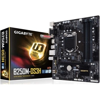 Gigabyte B250M-DS3H