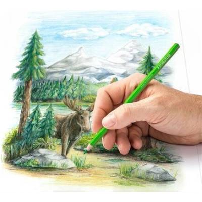 Staedtler Design Journey šesťhranné pastelky 12 farieb 4007817052211